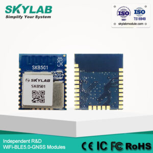 nRF52840 Module (1)